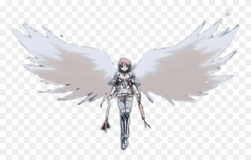 768x477 Ikaros Sora No Otoshimono Fliegen Flgel Federn Eagle, Angel, Archangel HD PNG Download