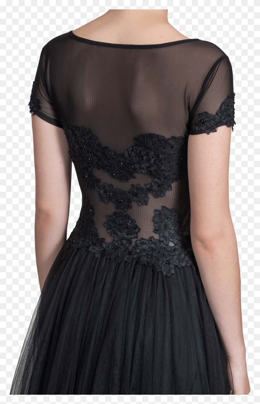2253x3601 Illusion Lace Gown HD PNG Download