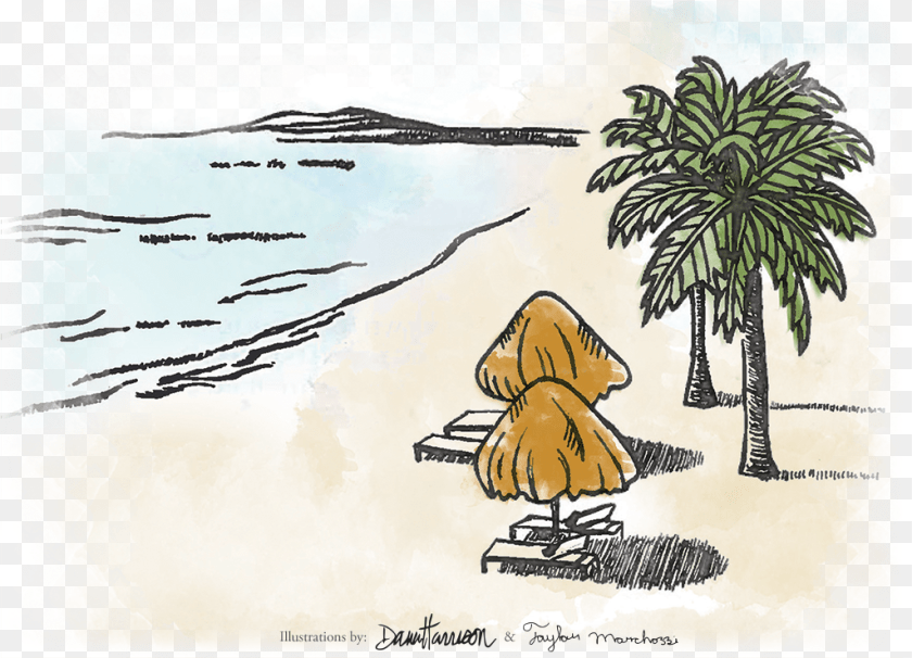 Illustrated Beach Scene Drawing, Tree, Plant, Palm Tree, Vegetation PNG