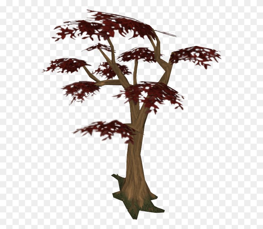 576x673 Иллюстрация, Дерево, Растение, Лист Hd Png Скачать