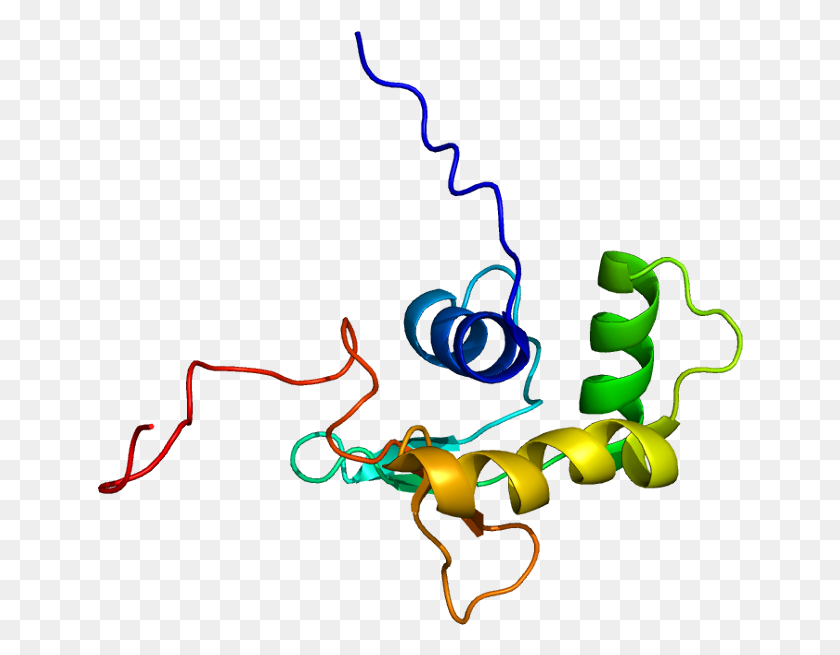 646x595 La Luz Png / La Luz De Neón Hd Png