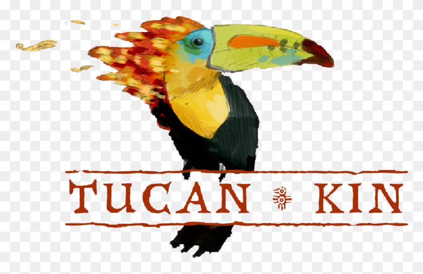 869x540 Tucán Png