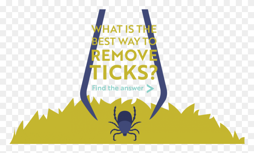 980x561 Illustration, Text, Poster, Advertisement HD PNG Download