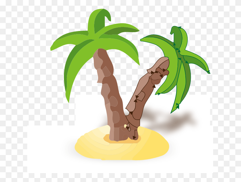 649x574 Ilustración, Planta, Árbol, Raíz Hd Png Descargar