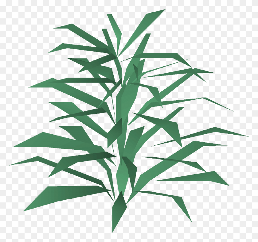1200x1122 Иллюстрация, Растение, Дерево, Бамбук Hd Png Скачать