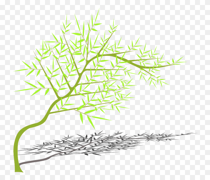 742x660 Иллюстрация, Растение, Дерево, Лист Hd Png Скачать