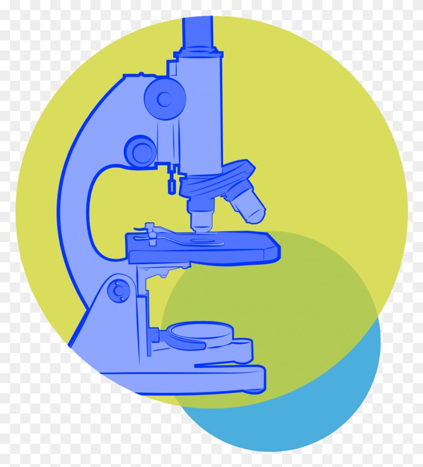 914x1015 Illustration, Microscope HD PNG Download