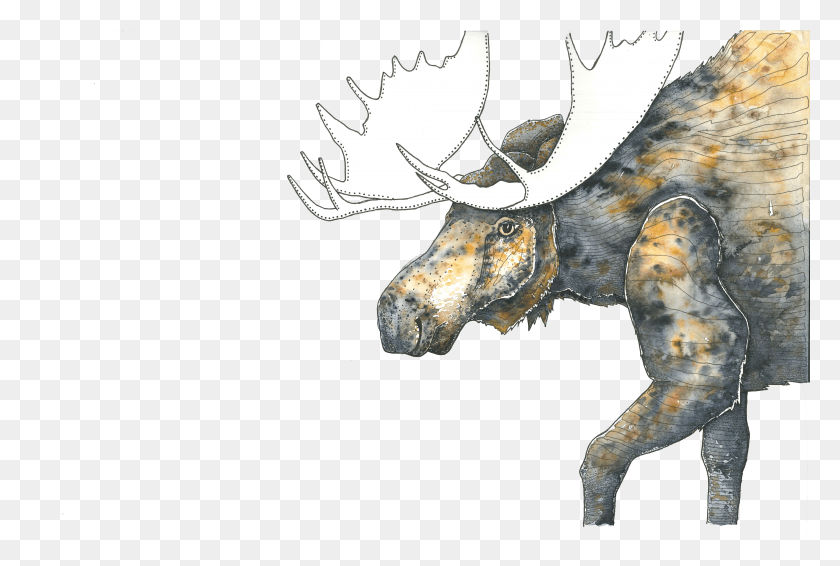 5087x3301 Ilustración Hd Png Descargar
