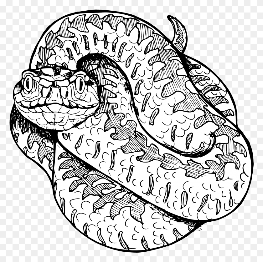 1743x1740 Illustration, Reptile, Animal, Snake HD PNG Download