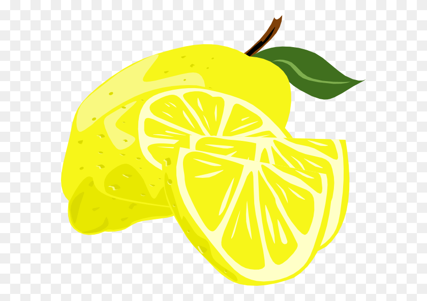 600x534 Illustration, Citrus Fruit, Fruit, Plant HD PNG Download