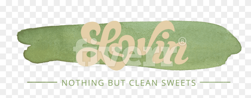 1132x393 Illustration, Text, Label, Plant HD PNG Download