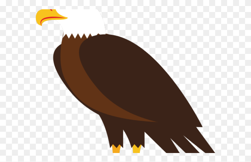 605x481 Illustration, Eagle, Bird, Animal HD PNG Download