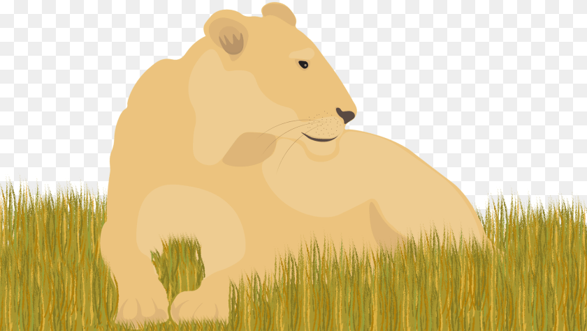 2045x1156 Illustration, Animal, Bear, Lion, Mammal PNG