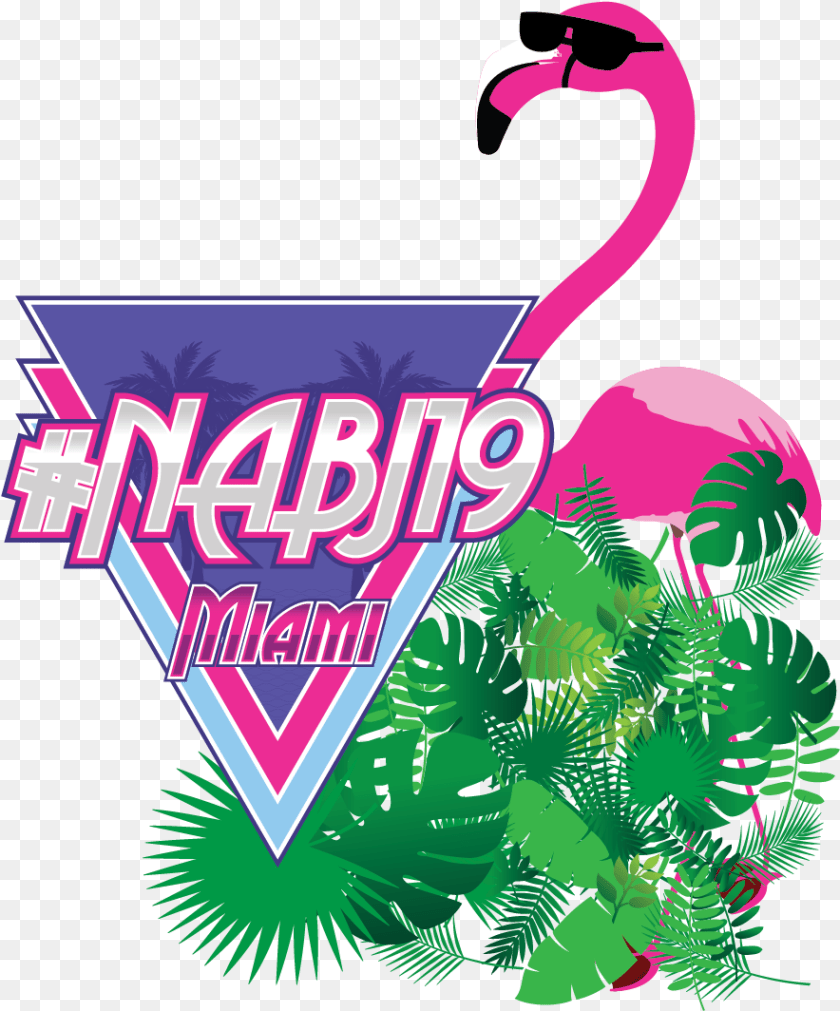 Illustration, Animal, Bird, Flamingo Clipart PNG