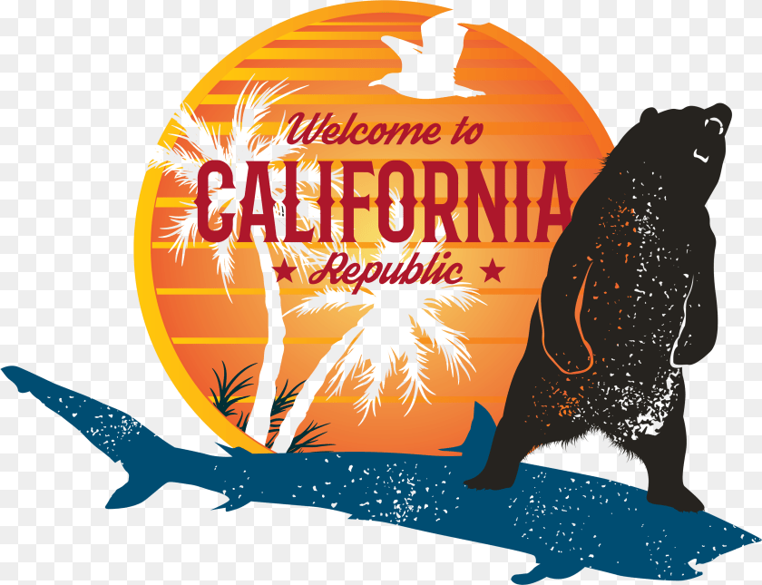 Illustration, Animal, Bear, Mammal, Wildlife PNG