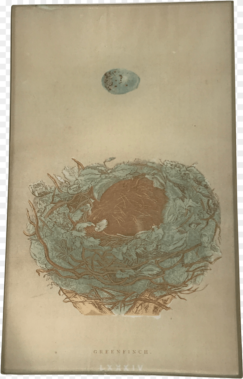Illustration, Art, Painting, Nest, Person Transparent PNG