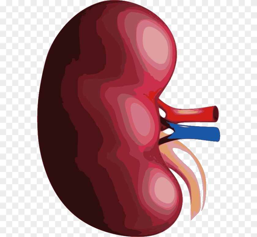 Illustration Transparent PNG