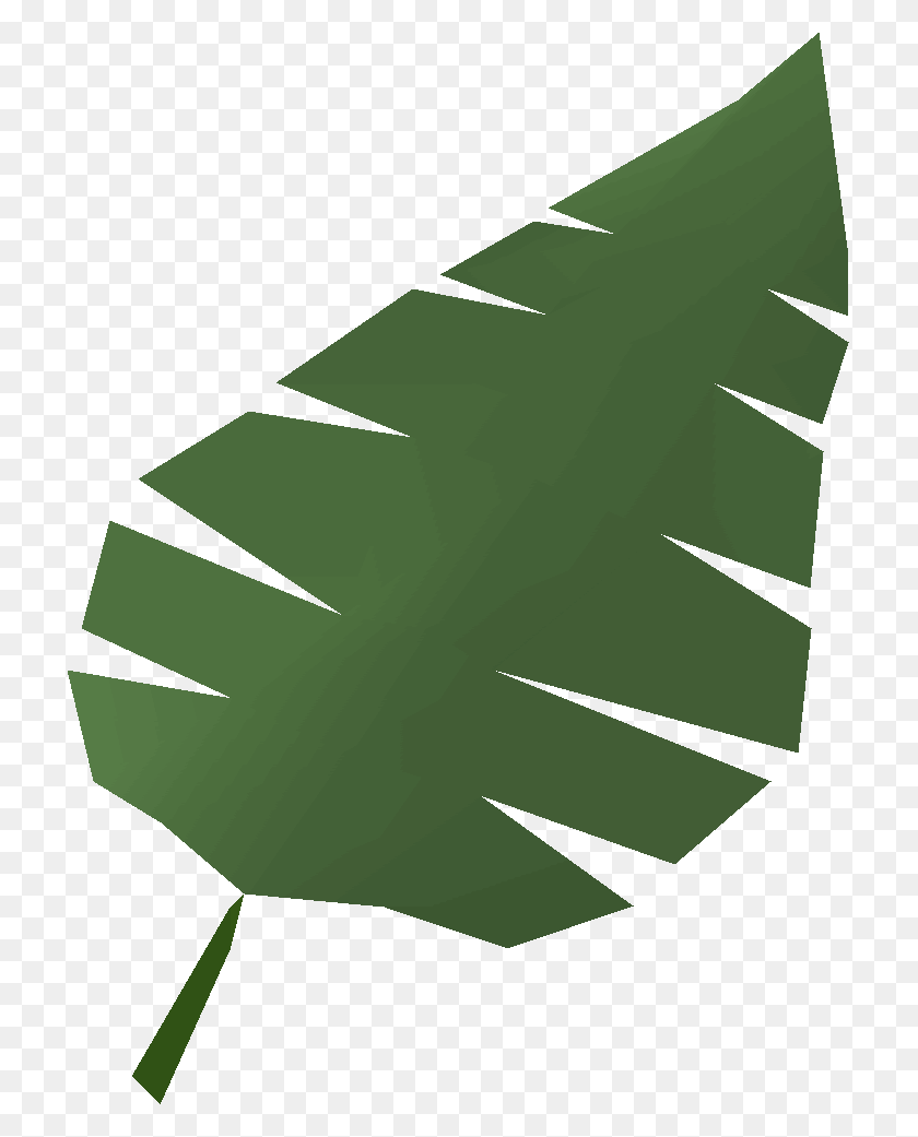 715x981 Иллюстрация, Лист, Растение, Зеленый Hd Png Скачать