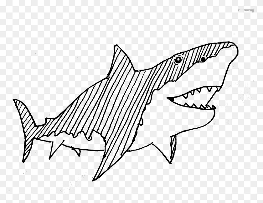3985x3019 Illustration By Lucinda Drake Shark, Sea Life, Fish, Animal HD PNG Download