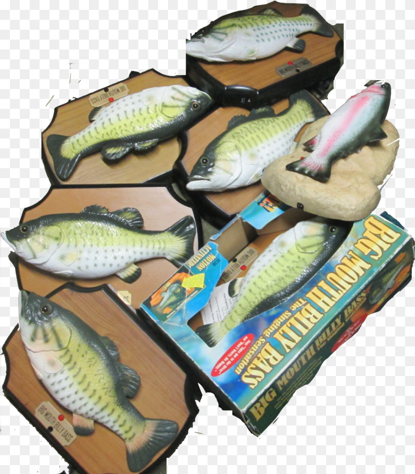 Illustration Download, Animal, Fish, Sea Life, Perch Sticker PNG