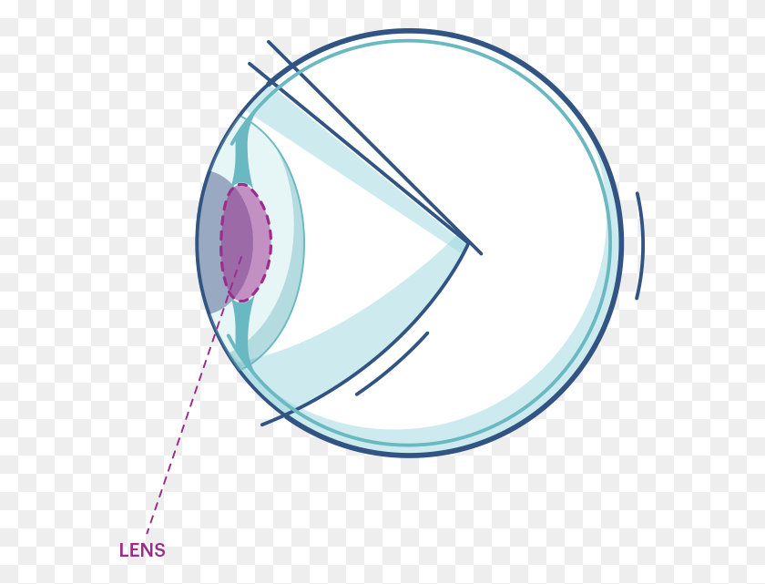 577x581 Illustration Of Any Eye Highlighting The Lens Circle, Sphere, Pattern, Contact Lens HD PNG Download