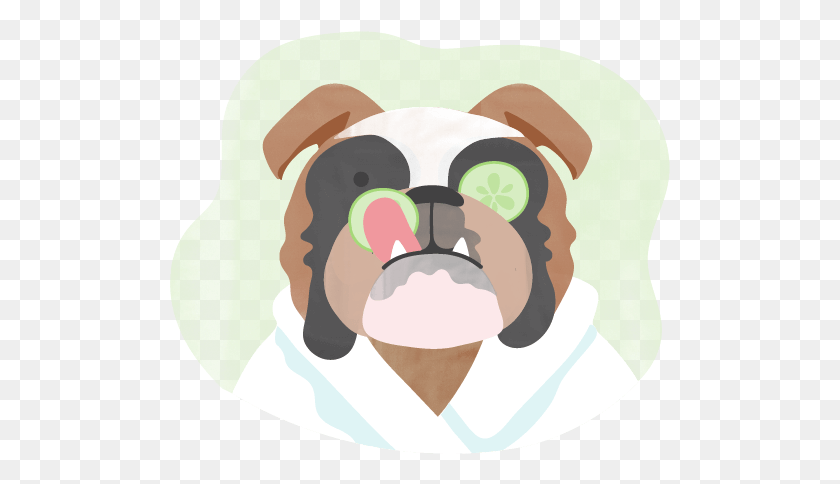 501x424 Illustration Of Dog At A Spa Pug, Head, Plush, Toy HD PNG Download