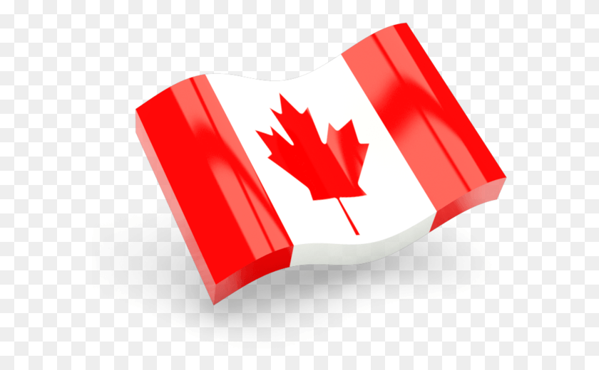 583x460 Иллюстрация Флага Канады Флаг Испании Логотип, Лист, Растение, Символ Hd Png Скачать