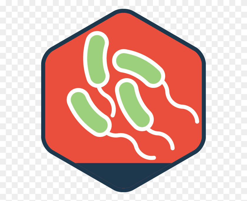 560x624 Illustration Of Microscopic View Of Legionella, Label, Text, Sticker HD PNG Download