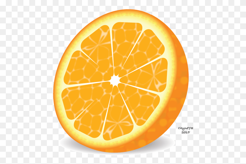 480x502 Illustration Tutorial Http Orange Vector, Citrus Fruit, Fruit, Plant HD PNG Download