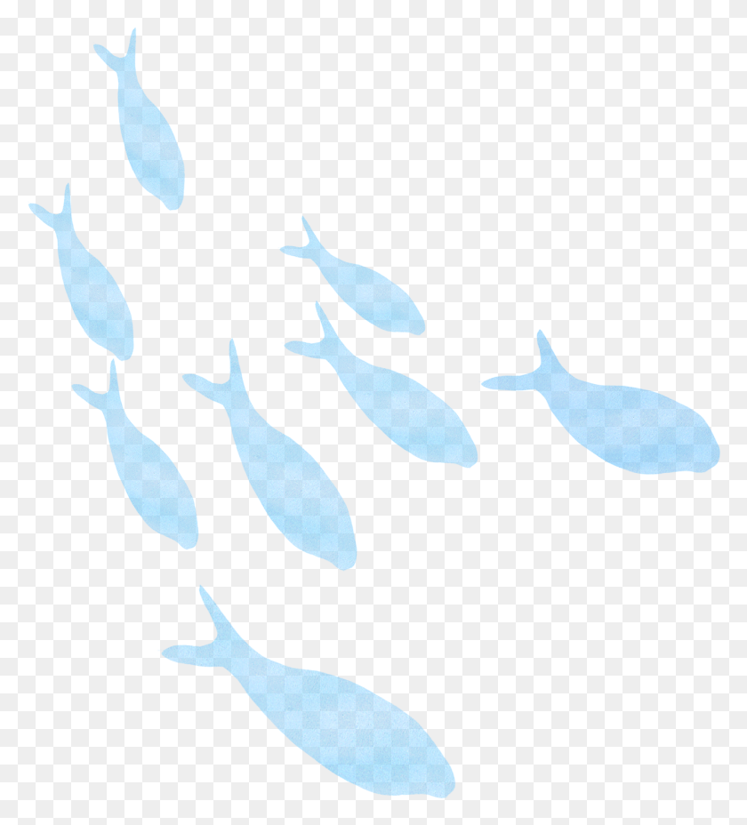 1341x1494 Illustrations Of Animals Plants Trees And Flowers Whale, Animal, Sea Life, Fish HD PNG Download