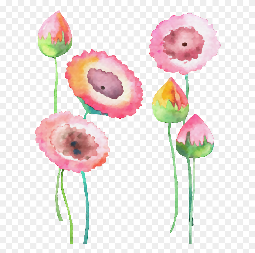 615x773 Ilustracion Flores, Plant, Flower, Blossom HD PNG Download