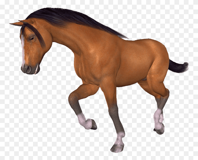 766x617 Im Genes Para Photoscape Photoshop Y Gimp De Animales Photoshop Brushes, Horse, Mammal, Animal HD PNG Download