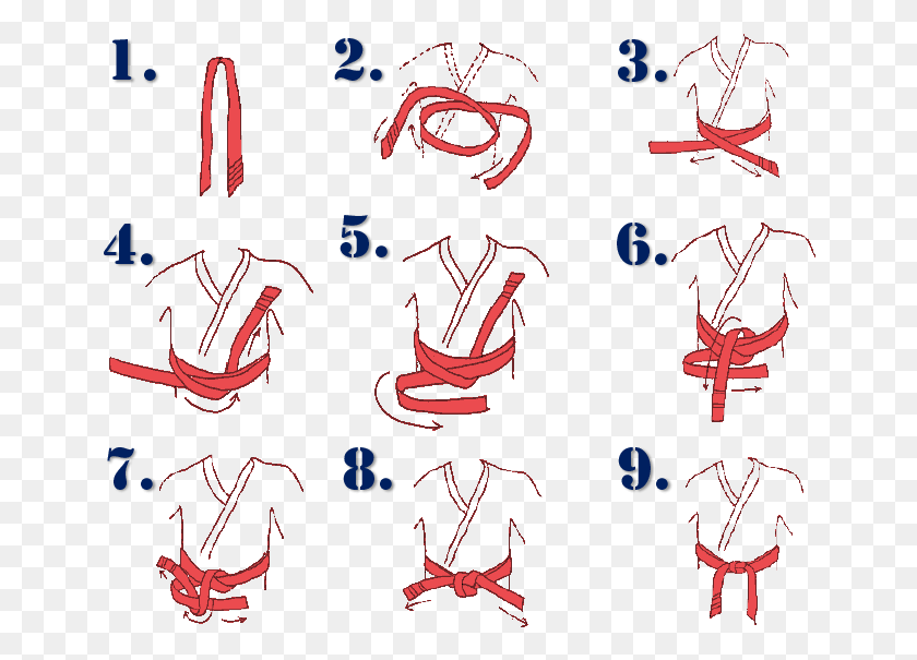 654x545 Ima How To Tie Your Belt Tie A Belt In Taekwondo, Poster, Advertisement, Text HD PNG Download