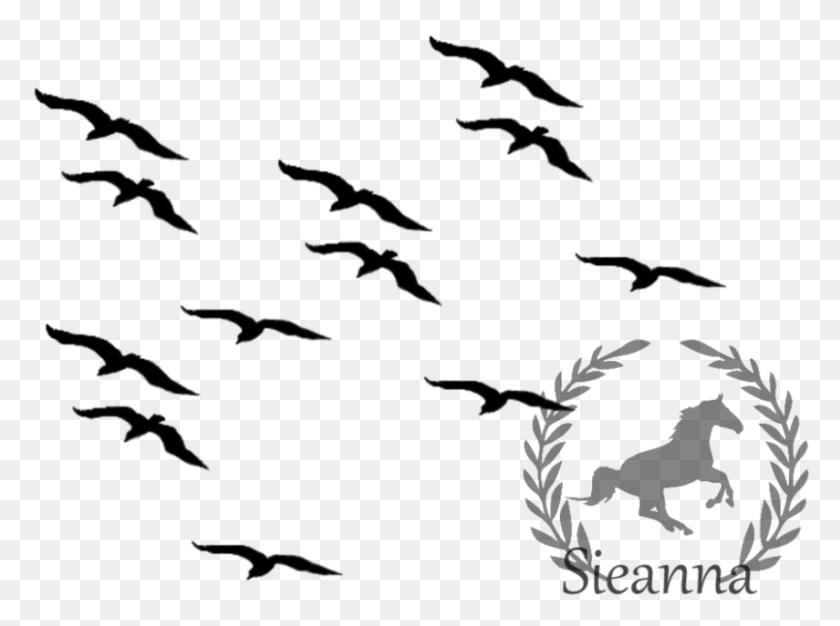 855x621 Image 0 Source Flying Birds, Outdoors, Nature, Astronomy HD PNG Download
