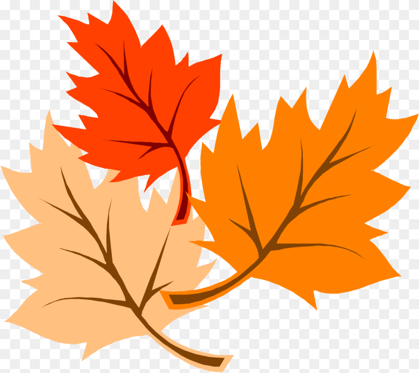 1024x912 Leaf, Plant, Tree, Maple Leaf Sticker PNG