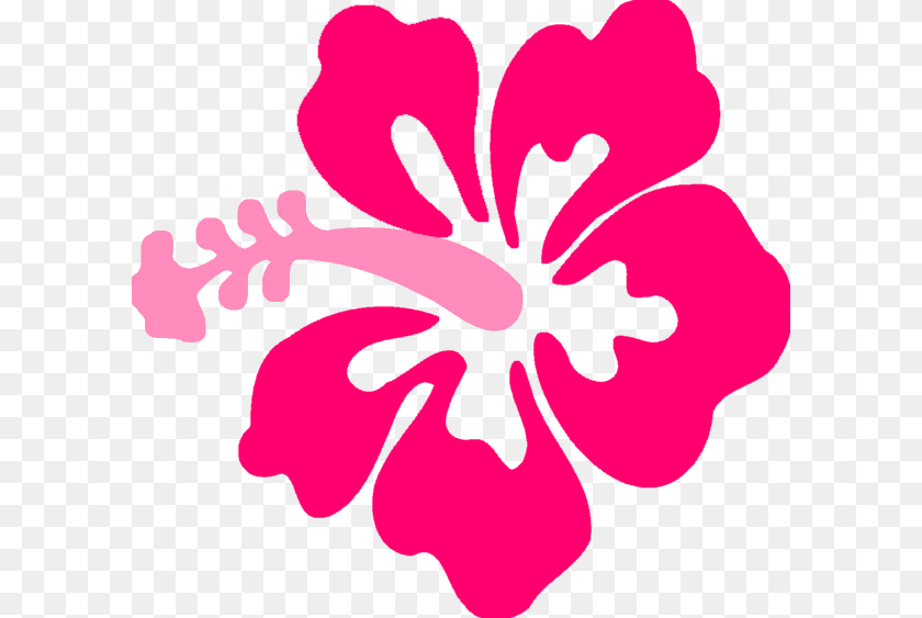 600x563 Image, Flower, Hibiscus, Plant, Person Clipart PNG