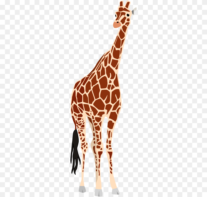 272x800 Image, Animal, Giraffe, Mammal, Wildlife Sticker PNG