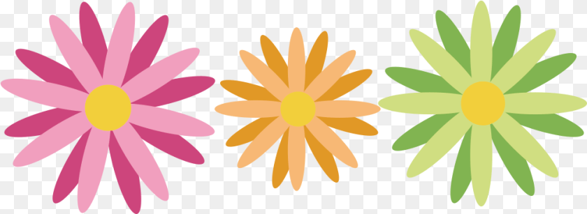 Image, Daisy, Flower, Plant, Petal Transparent PNG