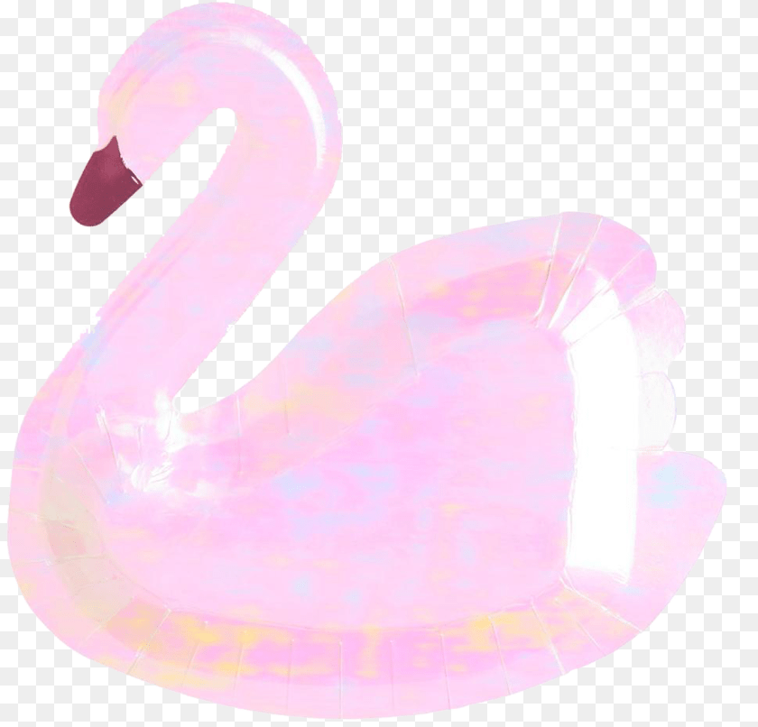 1238x1188 Animal, Bird, Flamingo, Swan Transparent PNG