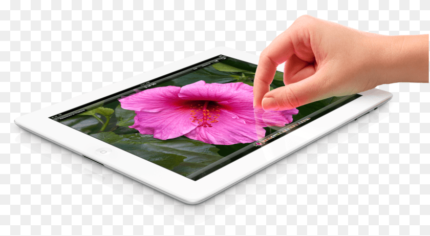 1200x658 Image, Computer, Electronics, Tablet Computer, Flower PNG