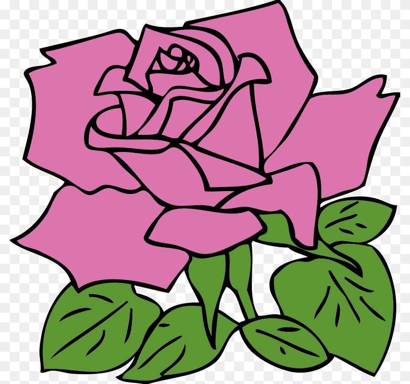 Image, Flower, Plant, Rose, Leaf Clipart PNG