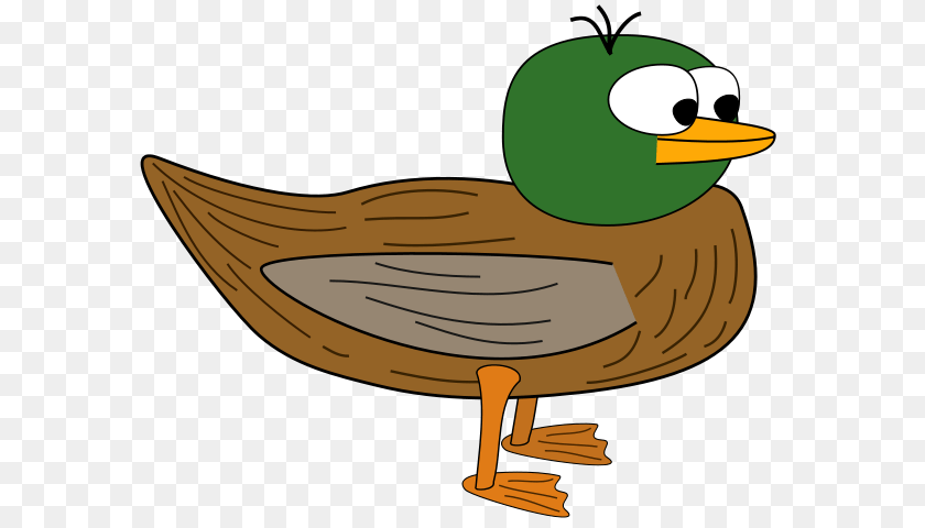Image, Animal, Beak, Bird, Duck Clipart PNG
