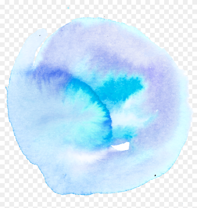 Image, Plant, Flower, Petal, Nature PNG