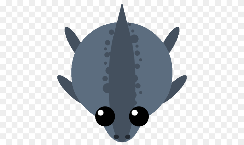 Animal, Fish, Sea Life, Shark PNG