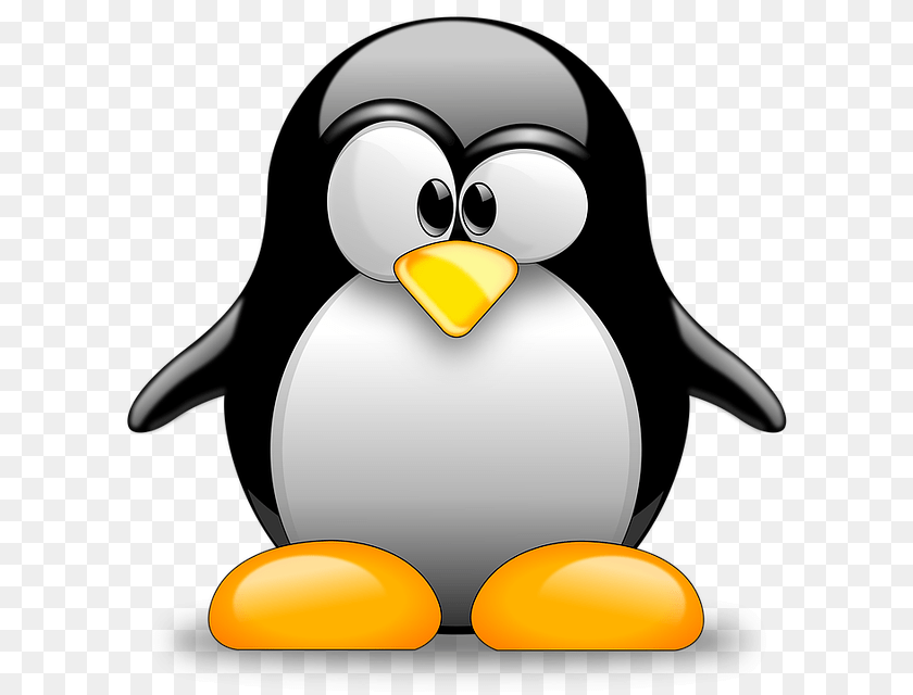 Image, Animal, Bird, Penguin, Nature PNG