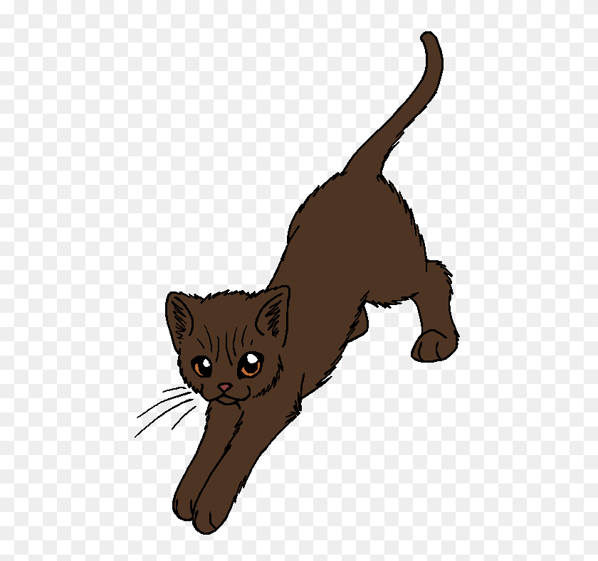 Image, Animal, Cat, Kitten, Mammal Clipart PNG