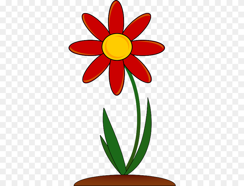 Image, Daisy, Flower, Plant, Petal Clipart PNG