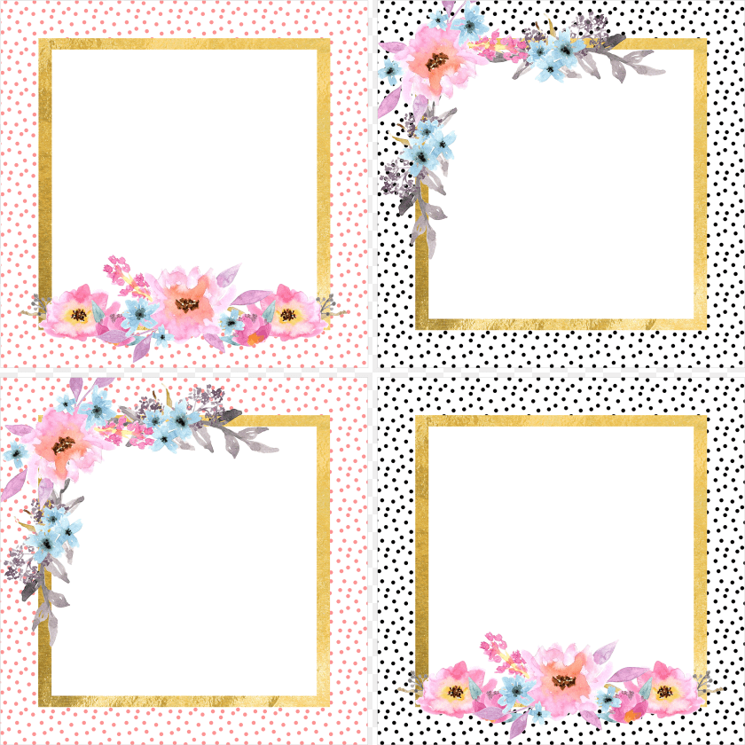 Image, Flower, Plant Transparent PNG