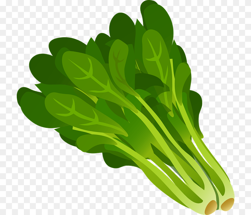 Image, Food, Plant, Produce, Leafy Green Vegetable Transparent PNG