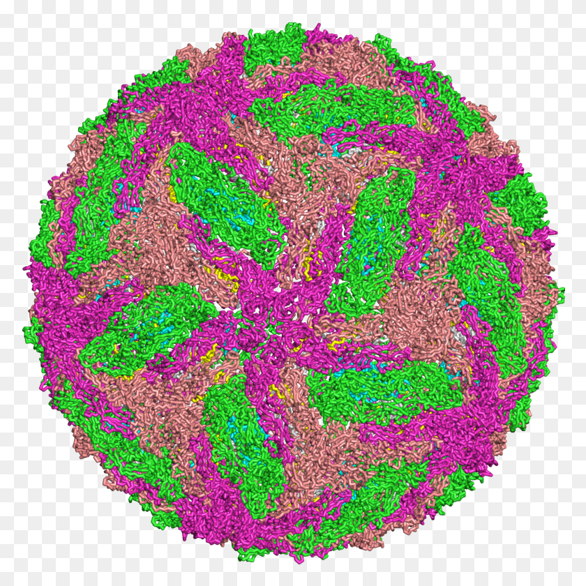 1600x1600 Image Depicting Dengue Virus, Rug, Pattern, Purple HD PNG Download